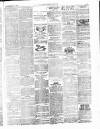 Lowestoft Journal Saturday 20 November 1875 Page 7