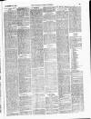 Lowestoft Journal Saturday 18 December 1875 Page 3