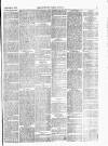 Lowestoft Journal Saturday 01 January 1876 Page 3