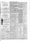 Lowestoft Journal Saturday 01 January 1876 Page 5