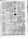 Lowestoft Journal Saturday 08 January 1876 Page 7