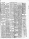 Lowestoft Journal Saturday 15 January 1876 Page 3