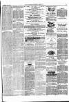 Lowestoft Journal Saturday 11 March 1876 Page 7