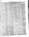 Lowestoft Journal Saturday 01 July 1876 Page 3