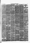 Lowestoft Journal Saturday 20 January 1877 Page 5