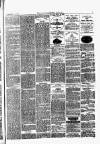 Lowestoft Journal Saturday 20 January 1877 Page 7