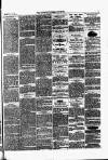 Lowestoft Journal Saturday 03 March 1877 Page 7