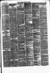 Lowestoft Journal Saturday 24 March 1877 Page 3