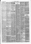 Lowestoft Journal Saturday 07 December 1878 Page 3