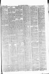 Lowestoft Journal Saturday 22 February 1879 Page 5