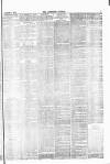 Lowestoft Journal Saturday 22 March 1879 Page 3