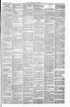 Lowestoft Journal Saturday 21 February 1880 Page 3