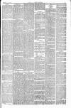 Lowestoft Journal Saturday 27 March 1880 Page 3