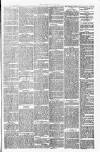 Lowestoft Journal Saturday 06 November 1880 Page 5