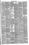 Lowestoft Journal Saturday 20 January 1883 Page 3