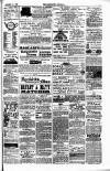 Lowestoft Journal Saturday 06 October 1883 Page 7