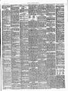 Lowestoft Journal Saturday 15 June 1889 Page 5