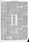 Newbury Weekly News and General Advertiser Thursday 20 June 1867 Page 3