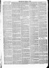 Newbury Weekly News and General Advertiser Thursday 25 July 1867 Page 7