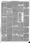 Newbury Weekly News and General Advertiser Thursday 28 November 1867 Page 3