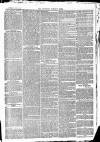 Newbury Weekly News and General Advertiser Thursday 04 June 1868 Page 7