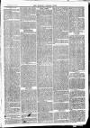 Newbury Weekly News and General Advertiser Thursday 28 January 1869 Page 3