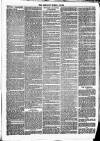 Newbury Weekly News and General Advertiser Thursday 22 April 1869 Page 7