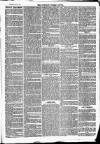 Newbury Weekly News and General Advertiser Thursday 06 May 1869 Page 7