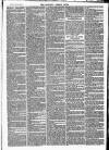 Newbury Weekly News and General Advertiser Thursday 08 July 1869 Page 7
