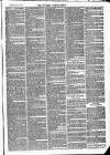 Newbury Weekly News and General Advertiser Thursday 22 July 1869 Page 7