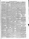 Newbury Weekly News and General Advertiser Thursday 30 January 1873 Page 5