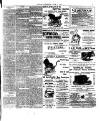 Fulham Chronicle Friday 07 June 1901 Page 7