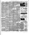 Fulham Chronicle Friday 17 October 1902 Page 7