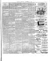 Fulham Chronicle Friday 14 November 1902 Page 3