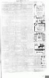 Fulham Chronicle Friday 07 March 1913 Page 7