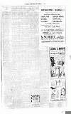 Fulham Chronicle Friday 07 November 1913 Page 3