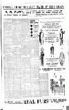 Fulham Chronicle Friday 14 November 1913 Page 3