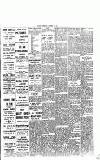 Fulham Chronicle Friday 01 September 1916 Page 5