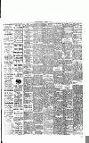 Fulham Chronicle Friday 14 November 1919 Page 5
