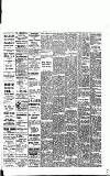 Fulham Chronicle Friday 23 April 1920 Page 5