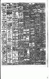 Fulham Chronicle Friday 22 April 1921 Page 5