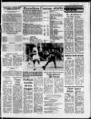 Fulham Chronicle Friday 05 November 1982 Page 31