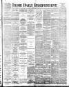 Irish Independent Wednesday 25 January 1893 Page 1