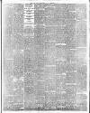 Irish Independent Friday 08 September 1893 Page 5
