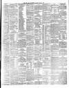 Irish Independent Saturday 06 April 1895 Page 7