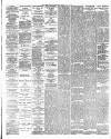 Irish Independent Friday 03 May 1895 Page 4