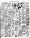 Irish Independent Saturday 03 July 1897 Page 7