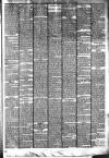 Cambridgeshire Times Friday 20 December 1878 Page 3