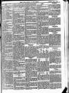 Bexley Heath and Bexley Observer Saturday 05 June 1875 Page 5