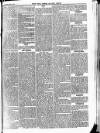 Bexley Heath and Bexley Observer Saturday 24 July 1875 Page 5